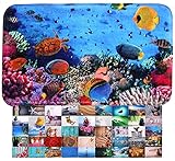 Sanilo Badteppich I viele schöne Badematten zur Auswahl I Badvorleger sehr weich und rutschfest I waschbar und schnelltrocknend (50 x 80 cm, Ocean)