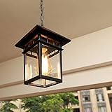 Chao Zan Schwarz Outdoor Höhenverstellbar Pendellampe Retro Außen/Innen Hängeleuchte Wasserdichter Aluminium Glas Pendelleuchte für Garten Eingang Flur Balkon Pavillon Villa Trauben Rahmen E27