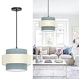 Depuley LED Hängeleuchte Höhenverstellbar Trommel, Pendelleuchte Minimalistisch, E27 Lampenfassung, Hängelampe Esszimmer, Esstischlampe Deckenlampe für Schlafzimmer Küchen Balkon Studio Flur
