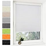 Deswell Plissee Rollo Jalousie ohne Bohren Klemmfix für Fenster & Tür Weiß 100 x 100 cm (Breite x Höhe), Plisseerollo Stoff Sonnenschutz leicht zu montieren & Verspannt