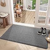 Color G Fußmatte Innen 50 x 80 cm, Schmutzfangmatte rutschfest Fussmatte Innen Waschbar Eingangsteppich Innen Fussmatten Haustür dünn Türmatte Innen für Eingang, Flur, Garten, Innen, Haustier (Grau)