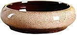 JWDS Sukkulenten Blumentopf 18,5 cm Modern Keramik Rund Design für Sukkulenten Pflanzkübel Kaktus Töpfe Deko Blumenhalter Schüssel Waschbecken Wanne